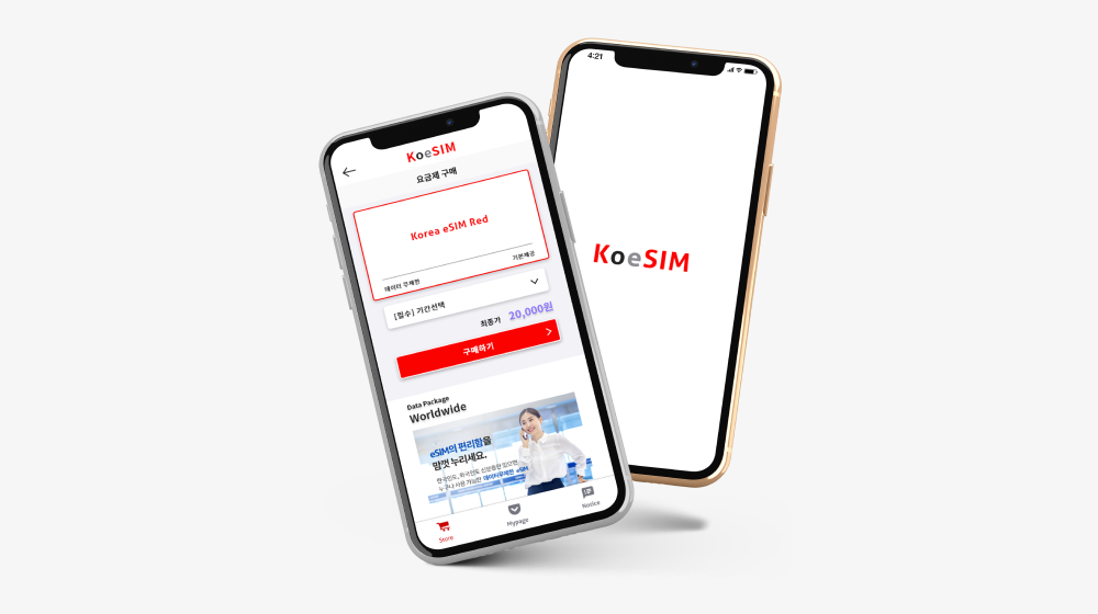 KoeSim
